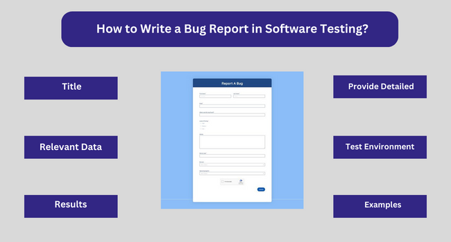 How to Write a Bug Report in Software Testing