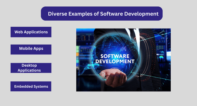 Diverse Examples of Software Development