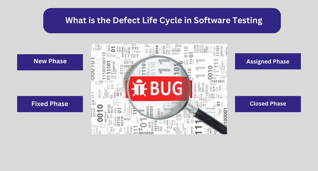 What is the Defect Life Cycle in Software Testing