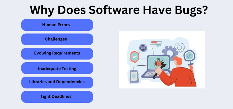 Why Does Software Have Bugs