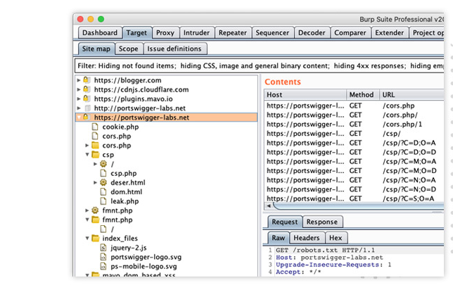 BurpSuite Scanner