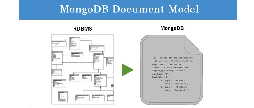 Flexible Document Model